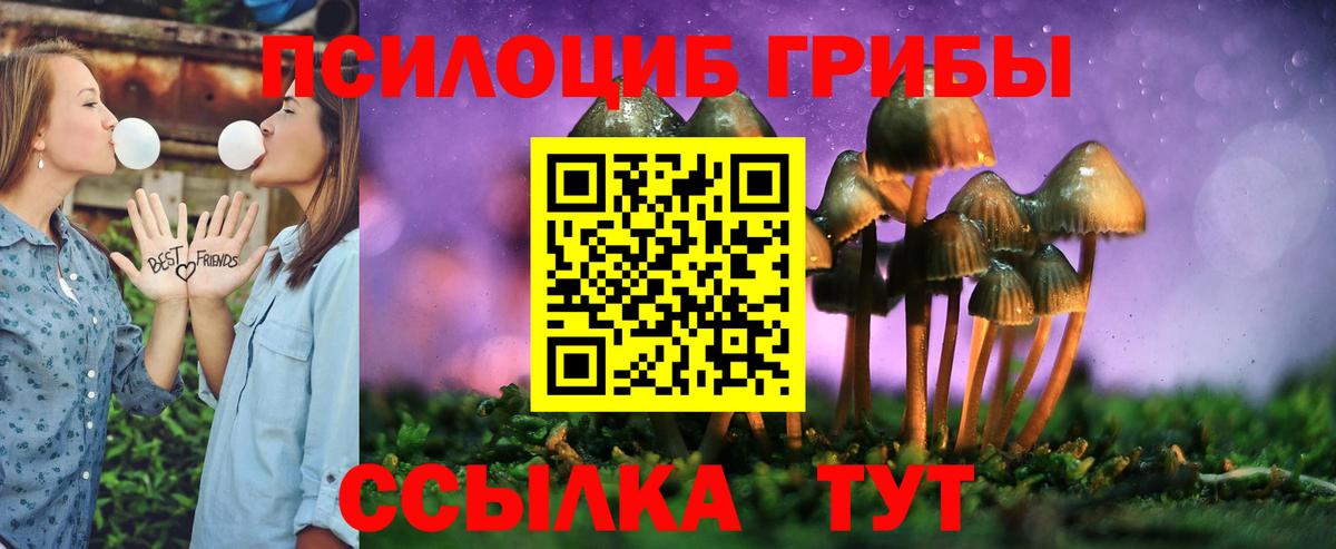 Добрянка  Галлюциногенные грибы Cubensis  Вход с VPN 