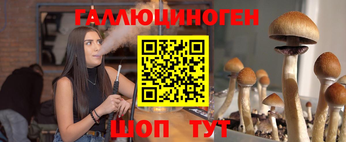 Галлюциногенные грибы Magic Shrooms Добрянка